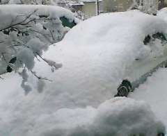 20070128-snow.jpg