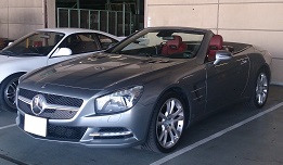 20160411-SL550.jpg